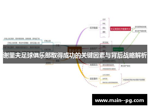 谢里夫足球俱乐部取得成功的关键因素与背后战略解析